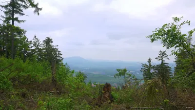 Przełęcz Kozia - Borowa