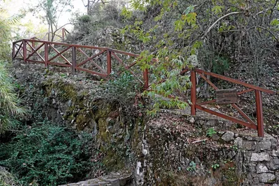 Gourri Palia Vrisi Trail