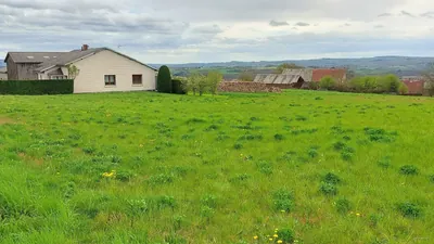 Ruisseau de Bort