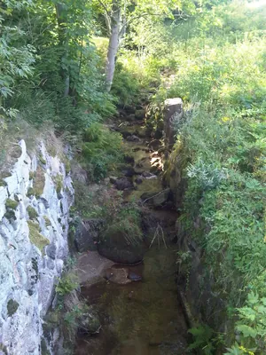 Borowice - Rówienka