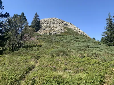 Coste Belle