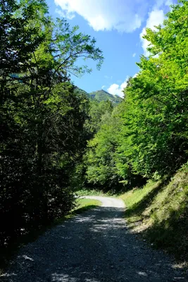 Tour du Grand Roc
