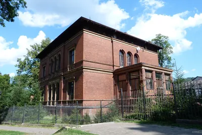 Pomarańczowa Głuszyca