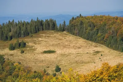 Mędralowa - Mylne Młaki