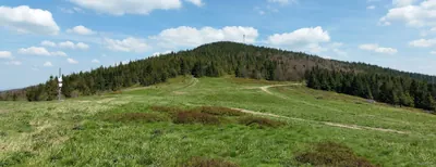 Hala Krupowa - Sidzina-Wielka Polana