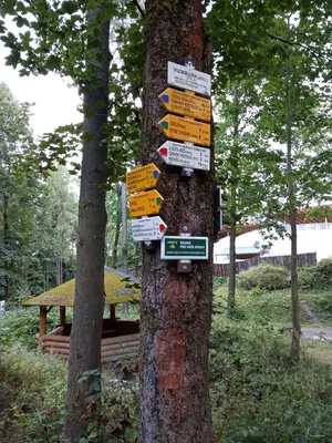 NS Po stopách erbu zlatého třmene
