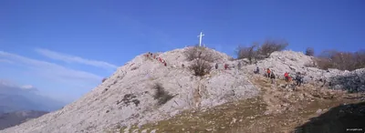 Gautxori eta gurutzeen bidea