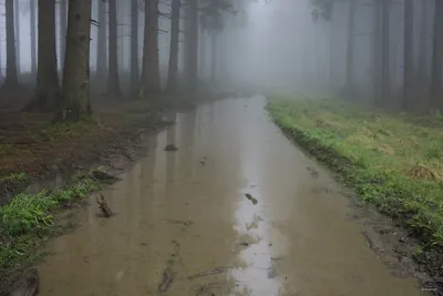 [M] Oldřichovice - Kalužný (rozc.)