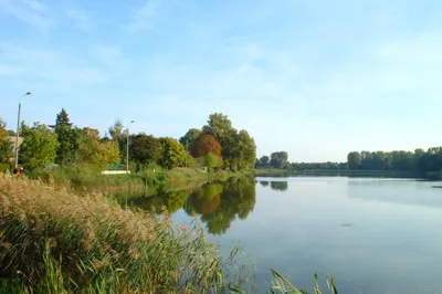 Trakt Królewski