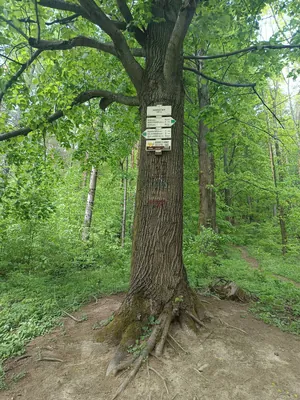 Cyklostezka Solárka