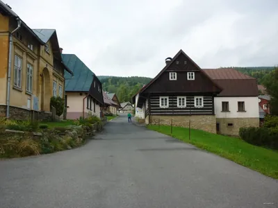 Okolo Rokytnice