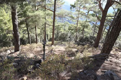Chorteri Nature Trail (extension)