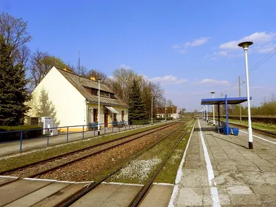 Ścieżka przyrodniczo dydaktyczna "Za Niwą"