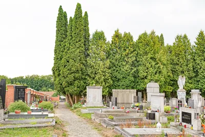 Naučná stezka Okolo Klenice za hrou a poučením