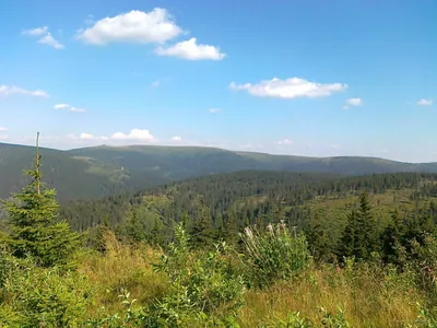[Č] Kouty nad Desnou - Dlouhé stráně