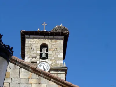 Camino Jacobeo Castellano-Aragonés: Abejar-San Leonardo de Yagüe