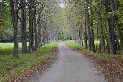 smtb Parádfürdő, Ilona-völgy