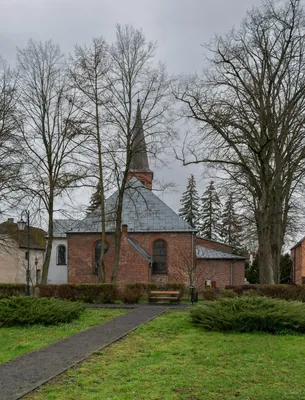 Mirosławieckie Lasy (czerwony)