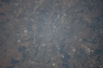 Źródła Radomki (Uroczysko Huta) - Borkowice