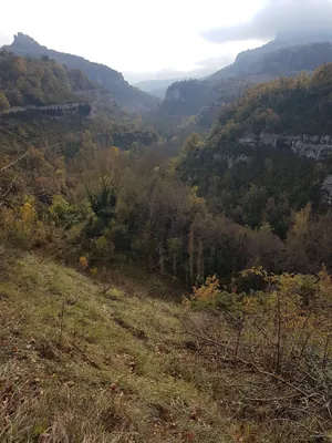 El Paseo
