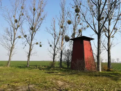 Łącznik