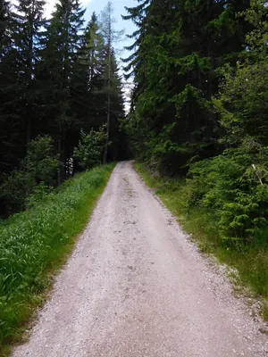 [M] Červenokostelecká bouda - U Zrcadlových bud