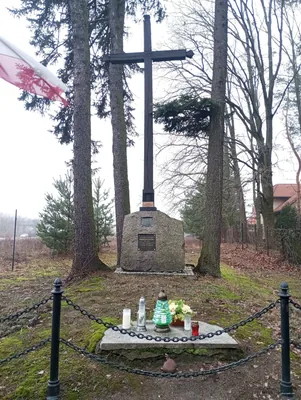 Główny szlak Lasów Chojnowskich