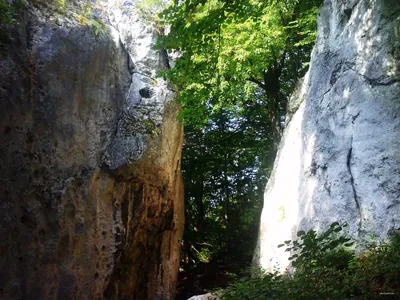 Szlak Wschodni