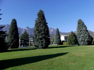 Circuit de Miolans