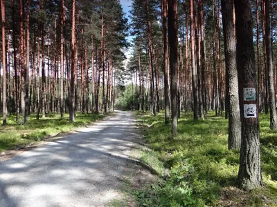 Szlak rowerowy ATR