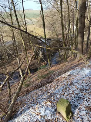 6185 Hlučín - Petřkovice