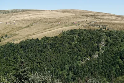 Circuit du Forez - Les Hautes-Chaumes
