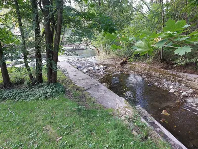 Ścieżka przyrodniczo-leśna „Skalica”