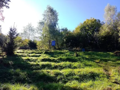 Szlak do Leśnego Kościoła