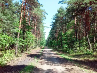 Jaworzno - Bukowno