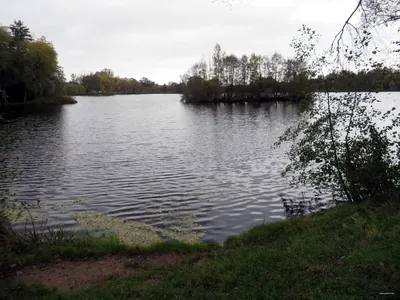 [Ž] Litolský most - Ostrá u jezera