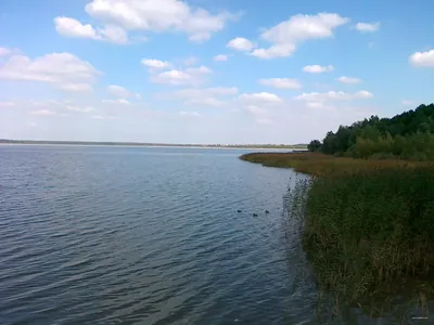 Szlak rowerowy Brynicy i Czarnej Przemszy
