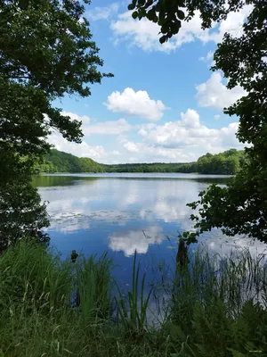 Połczyńska Garda