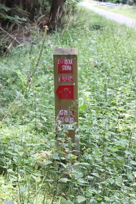 Libverdská strana