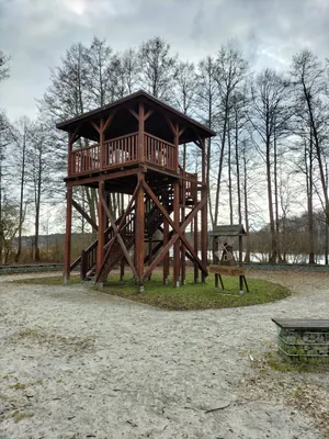 Po Puszczy Tarnowskiej