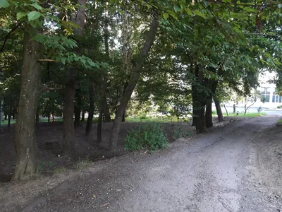 Шлях Плотені