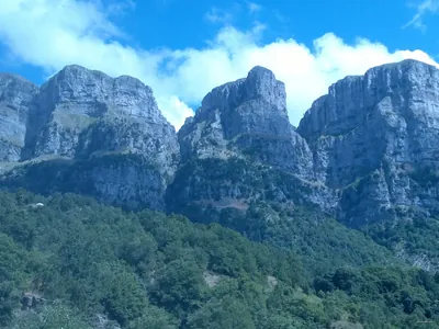 Papigko - Mikro Papigko Circular