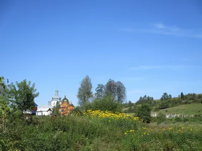 №5016 Топільниця – Недільна – Вежа Пам'яті