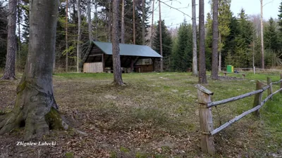 Mójka Szlak Bobra