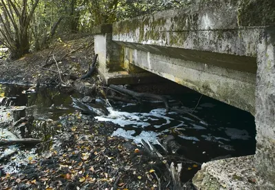 Szlak im. Kazimierza W. Wójcickiego