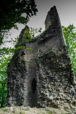 Hrad Kaltenštejn
