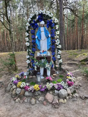 Szlak Przechadzkowy