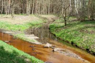 Ścieżka biegowa "Lucerny"