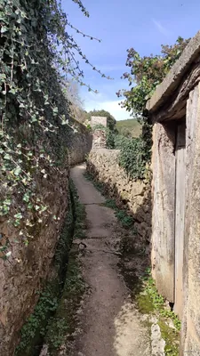 Marquillanorako ibilbidea