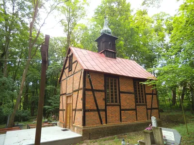 Mozaika Przyrody